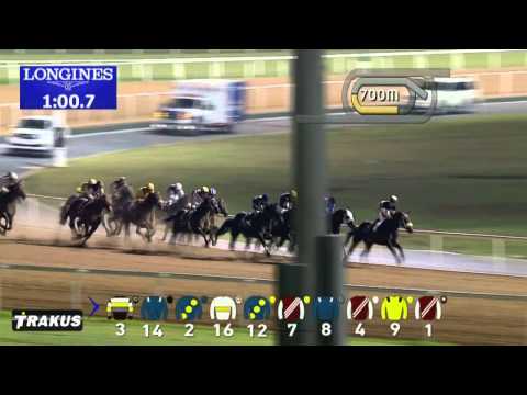 04.12.2014 Meydan (Dubai-UAE) 6.Race Longines Dolce Vita - Handicap 1.600 m