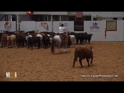 Its Time To Smokum 2018 derby herd work