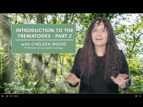 Introduction to the trematodes - Part 2