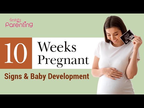 10 Weeks Pregnant - Signs and Baby Development