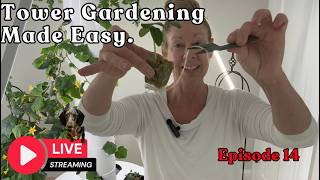 Tower Gardening Made Easy LIVE STREAM #towergarden #gardening #hydroponicgardening #farm