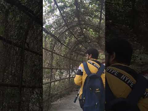 Exploring Eco Park During Christmas Eve I #japaneseforest #japaneserestaurant I Tasty Travel