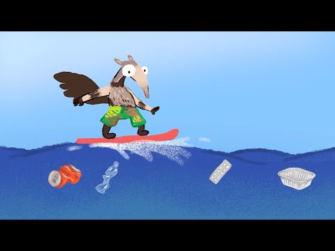 Biodiversité: menaces et solutions (vidéos pour enfants - 2ième partie)