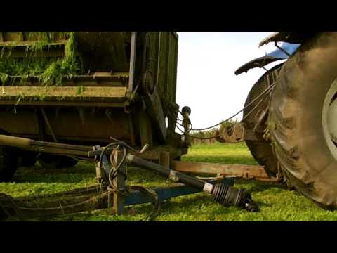 Paul Ruane Zero Grazing