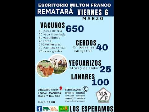 6/3/2026 Local Casupá - Florida - Feria mensual - Milton Franco | Clic Rural