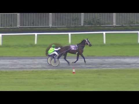 4. dostih - Cena Pražského zpravodaje - klusáci Chuchle Arena Praha 20. 6. 2020