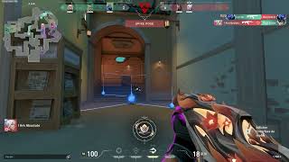 Spotlight Clip
