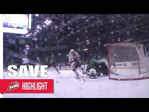 SAVE || Ian Scott || Feb 3, 2018 vs Regina Pats