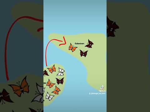 Gendrift: Gründereffekt einfach erklärt! #biologie #schule #lehrer