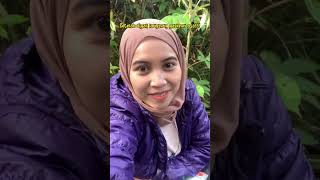 Download lagu Gimana cara BAB di gunung? Simak tipsnya! #pendaki #gunung #pendakian #pendakigunung #pendakikeren mp3 Download lagu Gimana cara BAB di gunung? Simak tipsnya! #pendaki #gunung #pendakian #pendakigunung #pendakikeren mp3