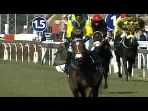 IGUGU : SA OAKS (GRADE 2)