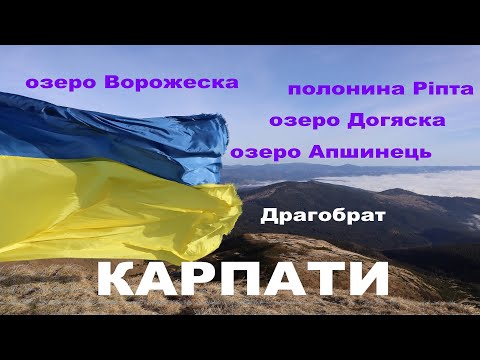 Czarna Cisa — Wideo