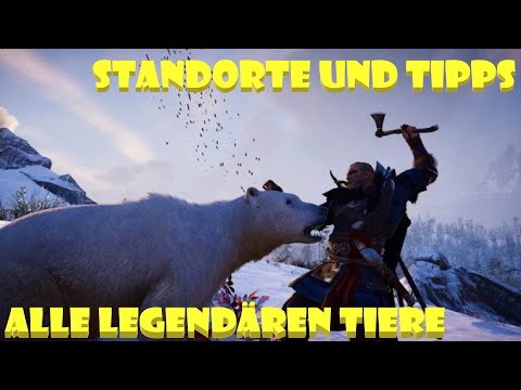 Legendäre Tiere Alle 11 ✨ Fundorte ✨ Hilfe ✨ Viele XP Punkte ✨ Tipps Zum Besiegen ✨ AC Valhalla ✨