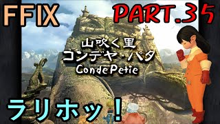 【天然の迷路と】大好きなみんなと旅に出る　FF9実況　Part35【新大陸】
