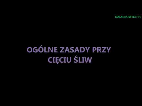 CIĘCIE ŚLIWY - cz. 1 - zasady ogólne