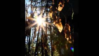 Ron Sexsmith - Riverbed.wmv