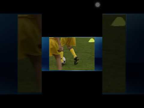 Coordination Peter Schreiner pt3