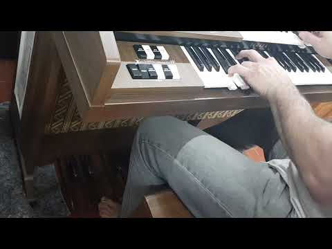 Órgão Yamaha C55