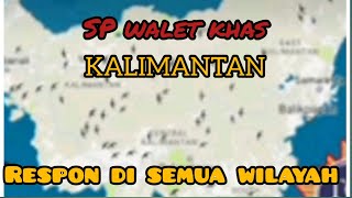 Download lagu SP walet Khas Kalimantan, original. dijamin pasti respon mp3 Download lagu SP walet Khas Kalimantan, original. dijamin pasti respon mp3