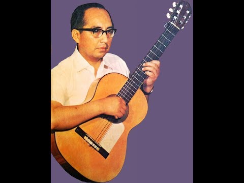 Guay Palomita - Guitarra Andina