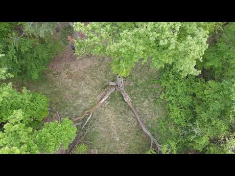 Ida Eiche Falkenberg (Mark)