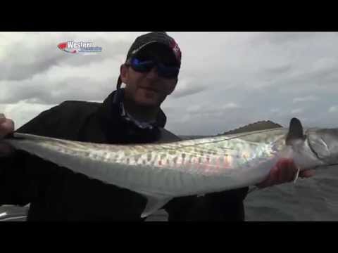 Catching Marlin on light tackle | Fishing in Mozambique | ASFN Deep Sea