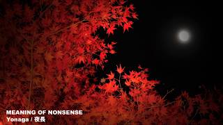 MEANING OF NONSENSE / YONAGA