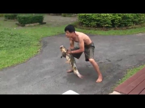 Parque Público Nong Buak Hard