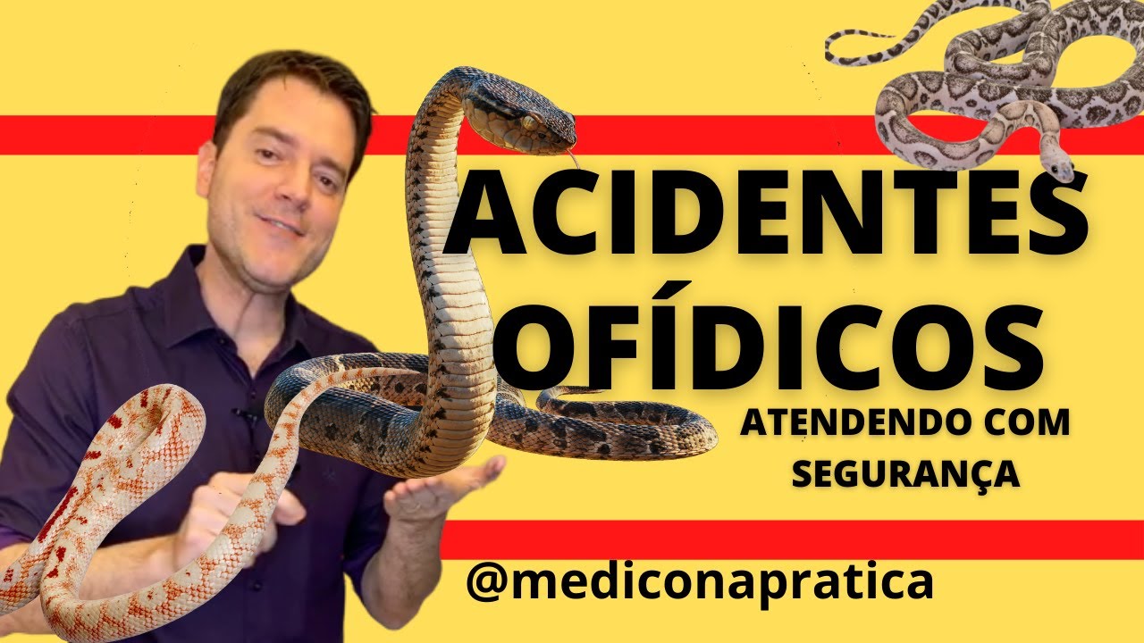 ACIDENTES OFÍDICOS  - Atendendo com Segurança