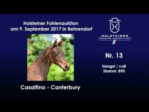 Nr. 13 v. Casaltino - Canterbury