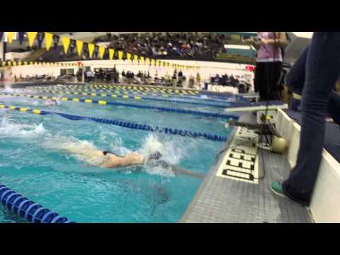 2015 BIG EAST Swimming and Diving Championship