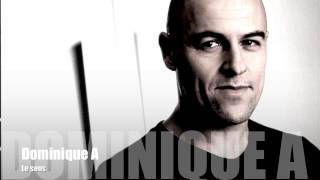 Dominique A - Le sens