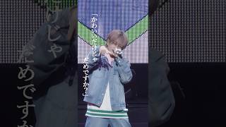 かわいいだけじゃだめですか？ Live ver. ／うらたぬき（cover）