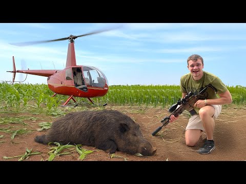 These Feral Hogs were Hard To Hunt... Even With a Helicopter!