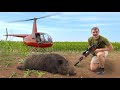 These Feral Hogs Were Hard To Hunt Even With A Helicopter