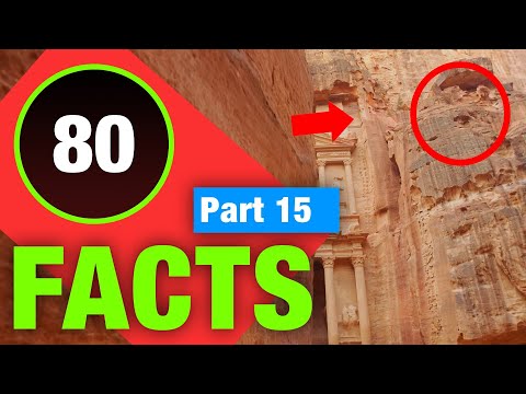 80 Seriously Interesting Facts | Weird Fun Facts