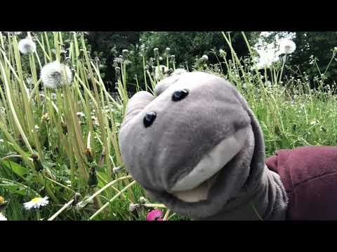 Schneckenzeit: Mathilda erzählt von den Schnecken