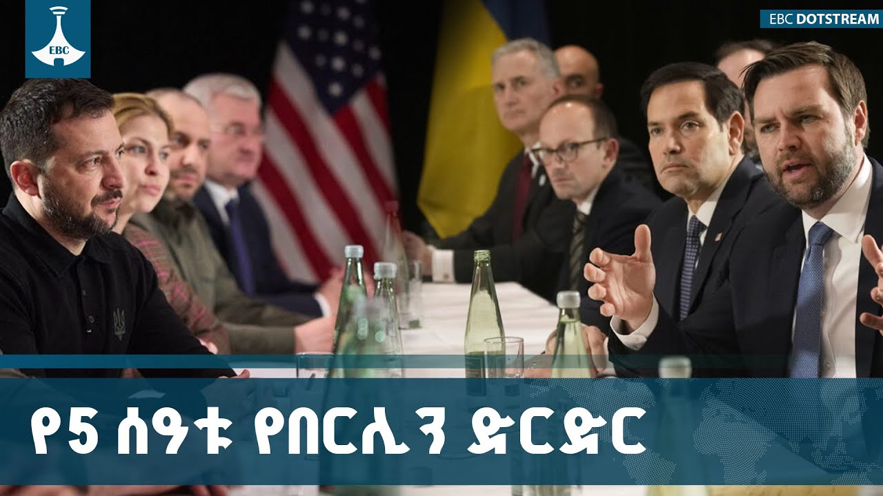 የዩክሬኑ ፕሬዚዳንት ቮሎድሚር ዘለንስኪ ከአሜሪካ ባለስልጣናት ጋር ያደረጉት ድርድር