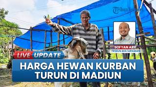 Jelang Idul Adha 1447 Hijriah Harga Kambing Kurban Merosot di Madiun Jatim, Pembeli Justru Sepi