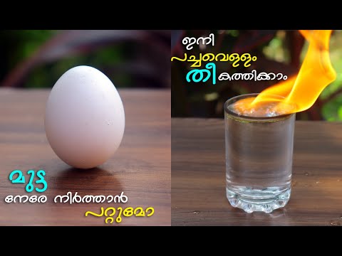 ഇനി പച്ചവെള്ളത്തിലും തീ കത്തിക്കാം വീഡിയോ കണ്ടുനോക്കു അടിപൊളി |Lillys Natural Tips