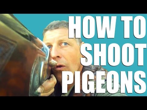Fieldsports Britain : How to shoot pigeons + muntjac stalking