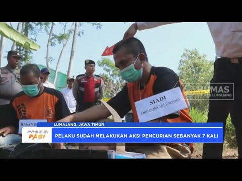 POLRES LUMAJANG TANGKAP PELAKU PENCURIAN HEWAN