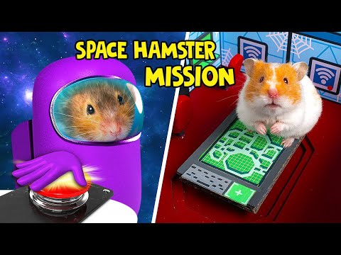 Hamsters' Adventure On Space Station