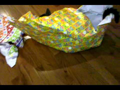 Birthday Gift Wrap