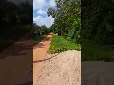 LAGOA CERCADA , MUNICÍPIO DE COLÔNIA DO GURGUEIA PIAUÍ