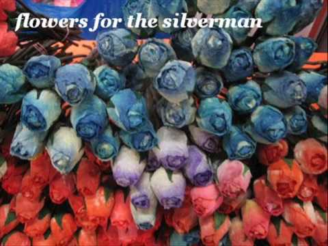 THE LEGENDARY PINK DOTS  "Flowers for the Silverman"