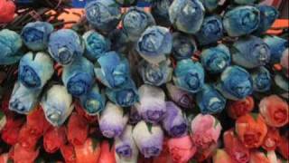 THE LEGENDARY PINK DOTS  "Flowers for the Silverman"