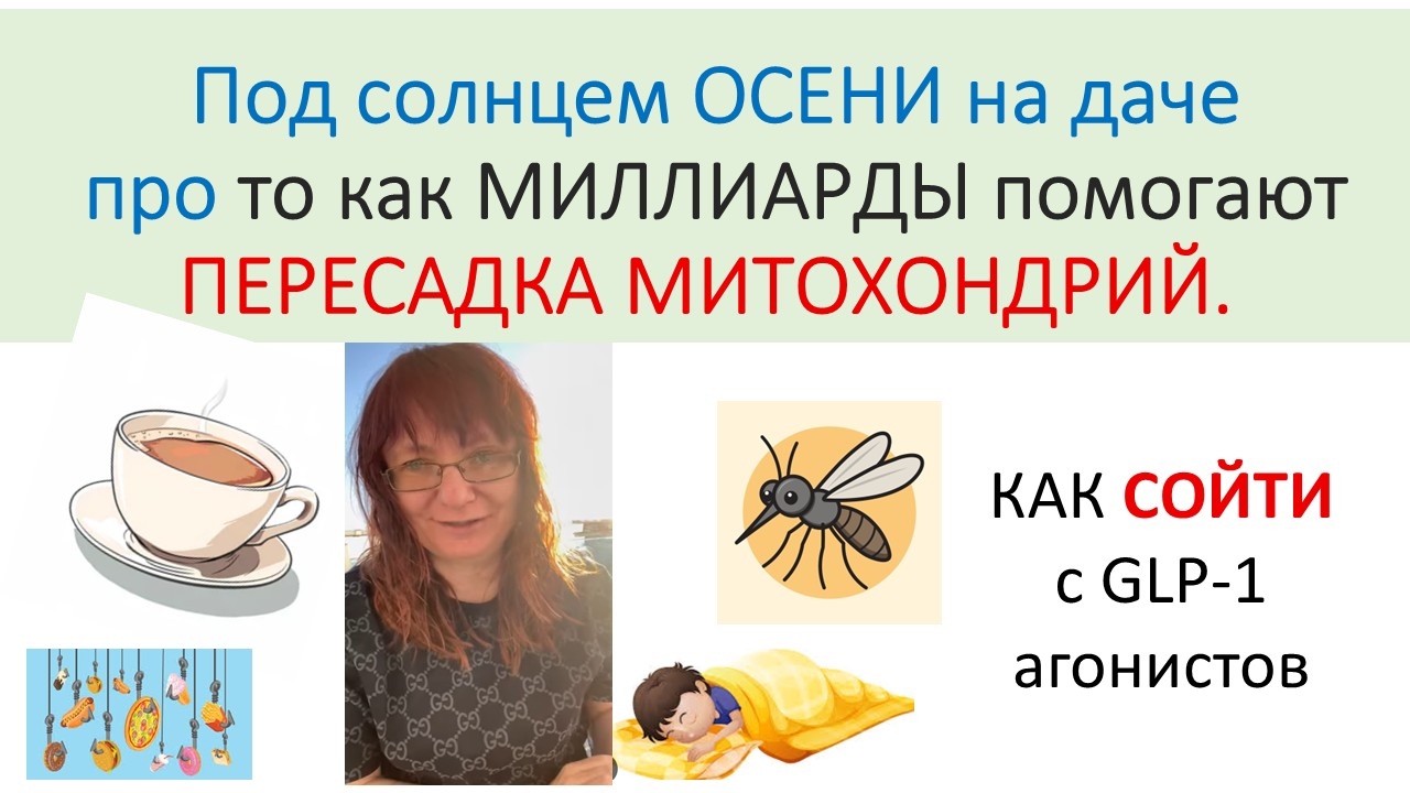 МИТОХОНДРИИ за Миллиард. Как  СОЙТИ с Мунжаро?
