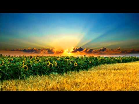 Robert Vadney - A Day In Heaven (Fanatic Emotions Remix) [Ripped From Suzy Set]