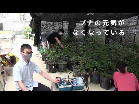 のぞいてみよう、森林科学科の授業（温室編／大型実験施設編）